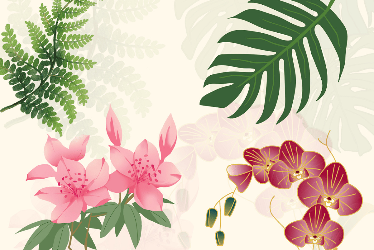 Imagem do evento Festa da Primavera