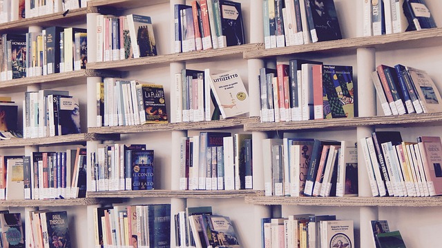 Imagem da notícia Nova Biblioteca Municipal de Foros de Arrão será inaugurada em breve
