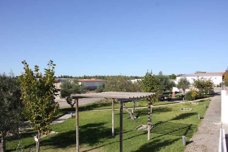 PARQUE DE MERENDAS